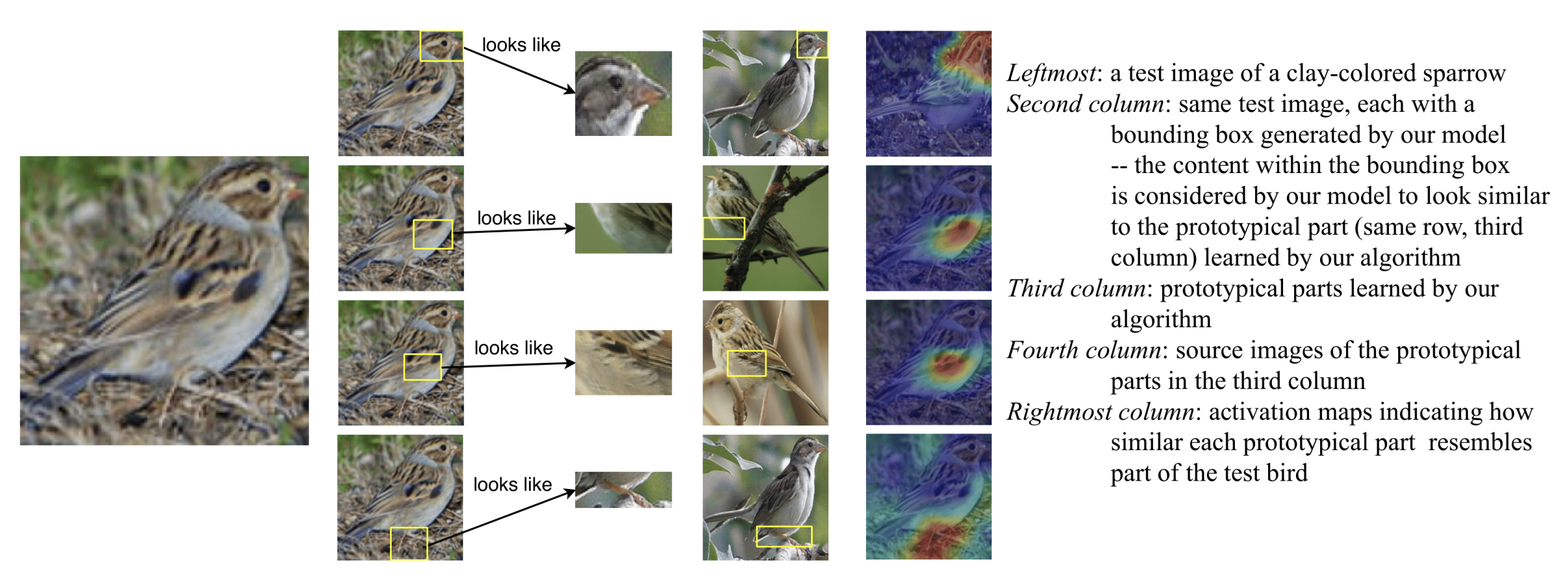 ProtoPNet Reasoning Process